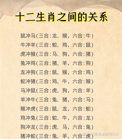 狗三合|十二生肖里的三合、六合、六害、六冲分解